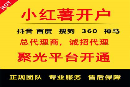 某电商平台的SEM策略与效果展示